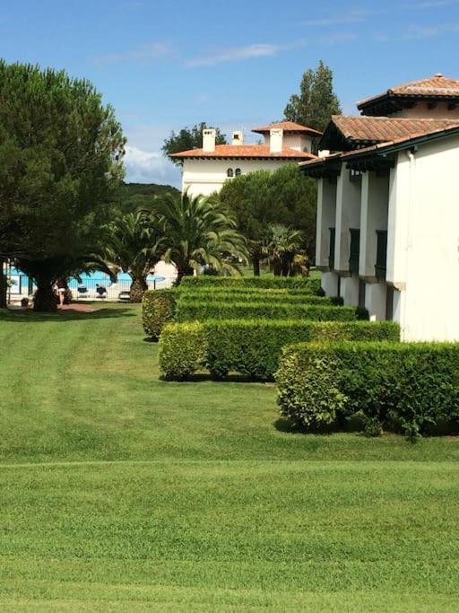 Cote Basque Διαμέρισμα Urrugne Εξωτερικό φωτογραφία